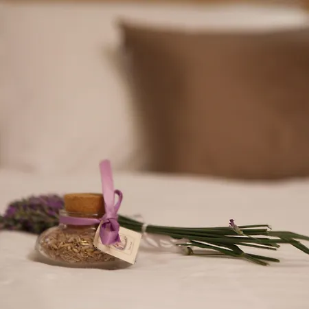 Boutique Marco Polo (adults Only)