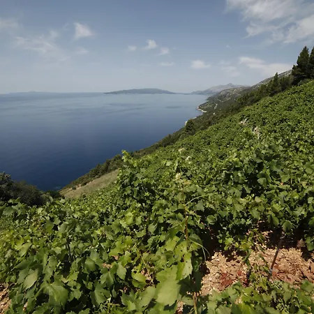 Boutique Marco Polo (adults Only) 4*